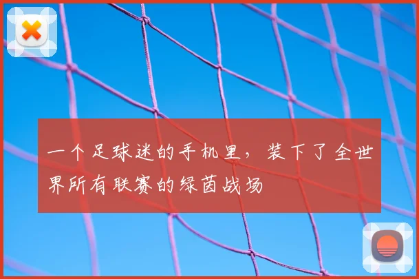 一个足球迷的手机里，装下了全世界所有联赛的绿茵战场