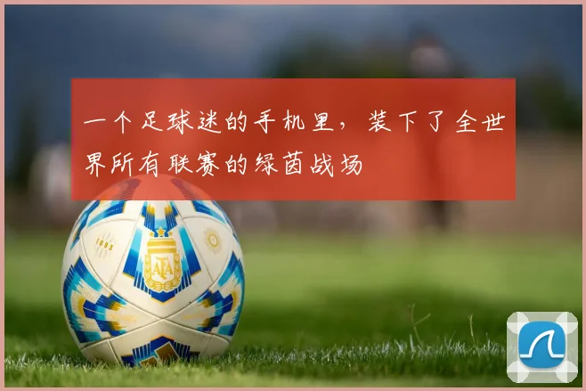 一个足球迷的手机里,装下了全世界所有联赛的绿茵战场