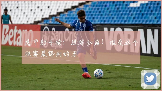 意甲射手榜：进球如麻！谁是这个联赛最锋利的矛